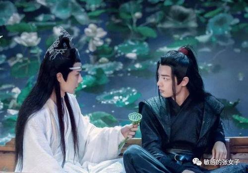 陈情令在线吃瓜,揭秘剧中幕后故事与精彩瞬间