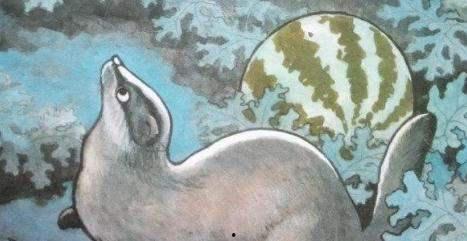 抓到吃瓜的猹,揭秘抓捕吃瓜猹的幕后故事