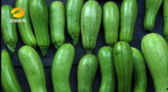 吃五口瓜,品味夏日清凉时光