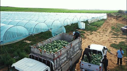 旗旗吃瓜,揭秘娱乐圈幕后故事