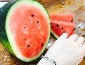 吃瓜会影响药效吗,揭秘日常饮食对药物吸收的影响