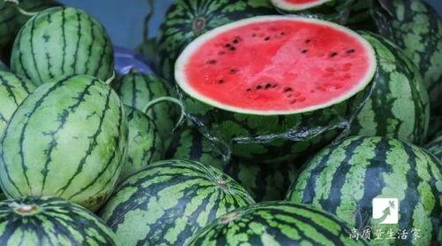 王小瓜吃西瓜,王小瓜的甜蜜西瓜之旅