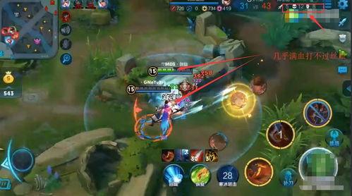 王者荣耀王者吃瓜,揭秘王者荣耀背后的趣味故事与精彩瞬间