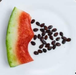 不吃瓜只吃籽,探寻不吃瓜只吃籽的独特风味