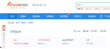 吃瓜域名查询,一场网络狂欢的起源与演变