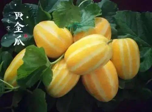 小黄在线吃瓜,揭秘网络热点的背后故事