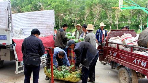 赵河吃瓜群众,揭秘网络热议背后的真相