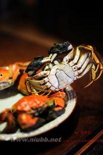 吃蟹可以吃水瓜吗,探寻蟹与水瓜的完美搭配