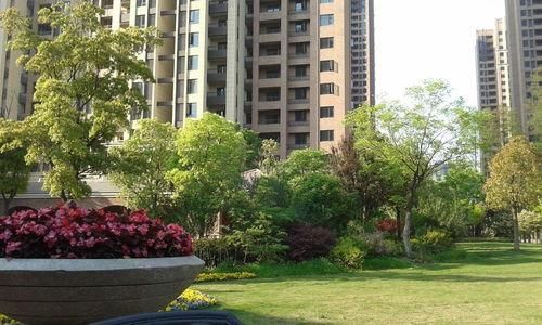 橡树湾武汉吃瓜,探寻武汉美食新地标，吃瓜群众必打卡！