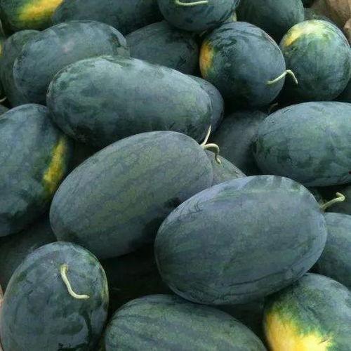 武汉海伦司吃瓜