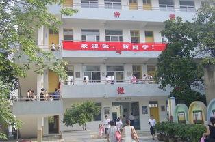 越城北海小学吃瓜,一场吃瓜盛宴背后的温馨故事