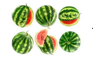 吃瓜的苞米谷子,吃瓜群众的趣味生活