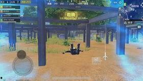 国际服吃鸡外瓜,揭秘游戏生态乱象