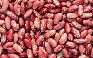 安新淀头吃瓜,感受清凉夏日时光