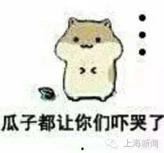 吃瓜娃子瓜子呀,品味生活，笑对瓜界风云