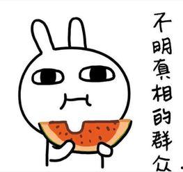 吃瓜被骗文案图片