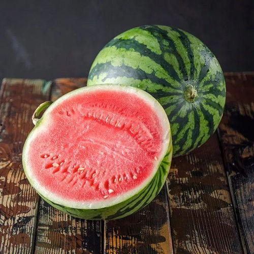 吃麒麟瓜视频犯困