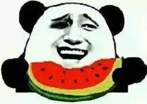 吃瓜群众看你们演戏,揭秘幕后的精彩瞬间