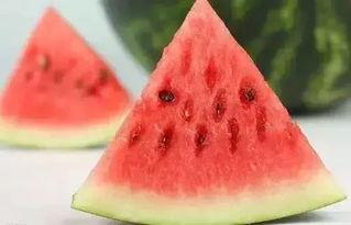 夏吃三瓜秋吃三果,夏品三瓜，秋尝三果