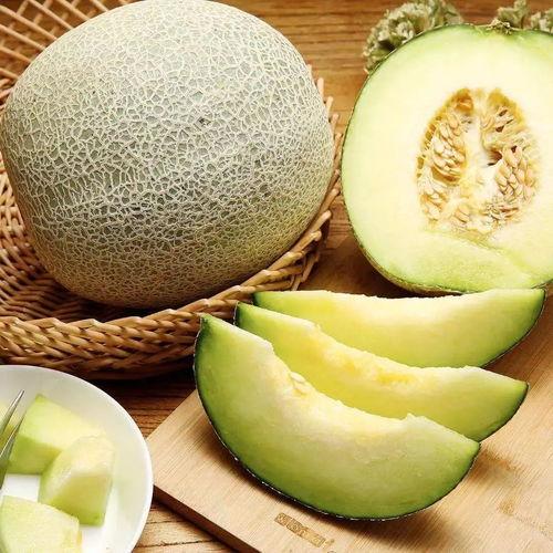 上火可以吃蜜瓜吗,上火期间的清凉佳选