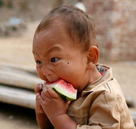 精致男孩吃瓜,精致男孩的瓜田奇遇记