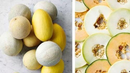 怎么建吃瓜链接,如何快速生成专属吃瓜链接