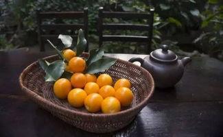 金橘瓜怎么吃,解锁美味新体验