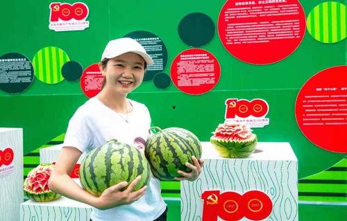 成都摄影吃瓜,捕捉光影中的美食瓜界