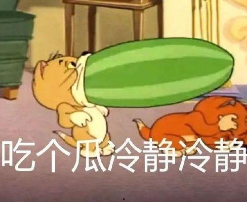 猫和老鼠吃瓜素材,一场爆笑的夏日食瓜大战