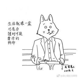 吃瓜飞踢,揭秘网络热词背后的趣味与智慧