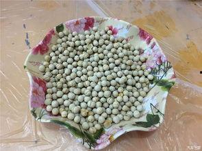 51瓜吃网,揭秘娱乐圈幕后故事，带你走进明星生活