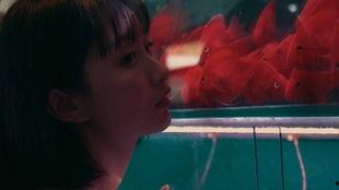 吃瓜女孩被打,揭开网络暴力背后的真相