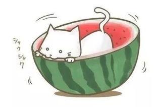 带你吃瓜遇见她,邂逅那个她背后的故事