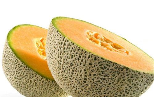 秋天吃蜜瓜好不好,秋季养生佳品，甜蜜滋味与健康同行