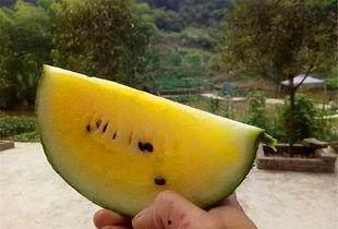 水果店吃瓜视频,水果店吃瓜视频带你领略夏日清凉